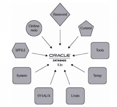 Oracle data base