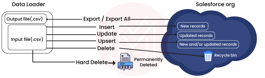 Salesforce Data Loader Functions