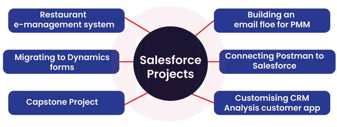 Salesforce Projects