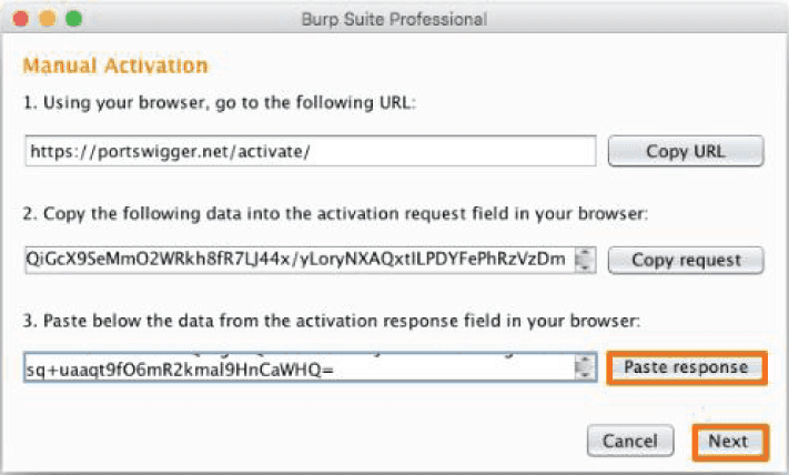 Burp Suite License