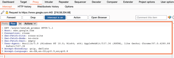 Penetration Testing Tool