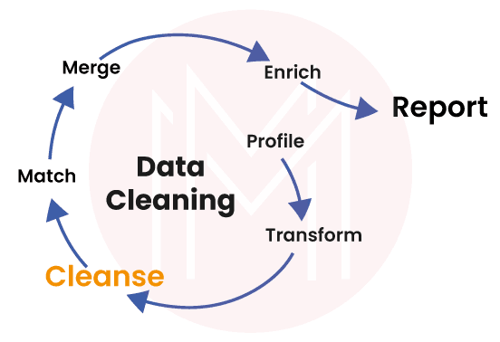 data cleansing