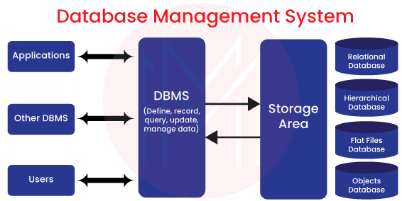 Database Management System