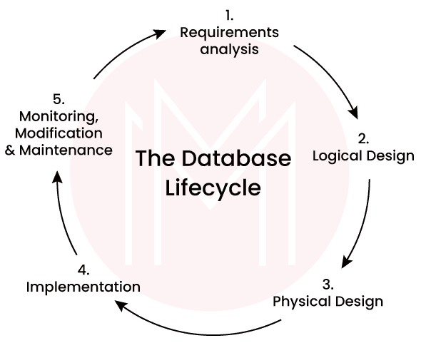 DBMS life cycle