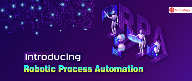 Introducing Robotic Process Automation