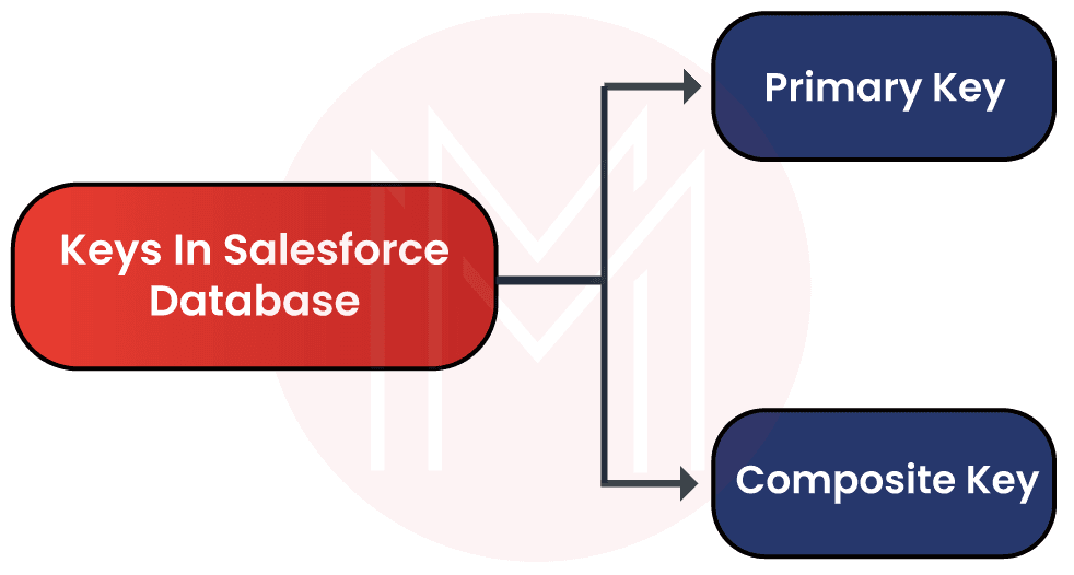 Keys used in Salesforce Database