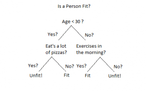 Decision Trees in Machine Learning