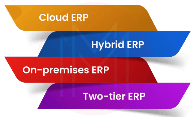 Different ERP Deployment Modes