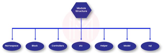 Module Structure