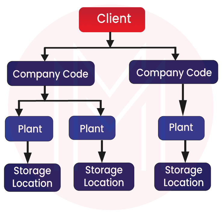 Organisational Structure