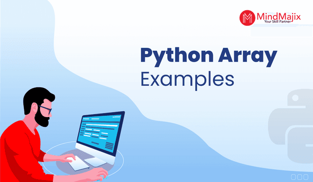 Python Array Examples