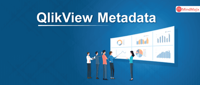 QlikView Metadata