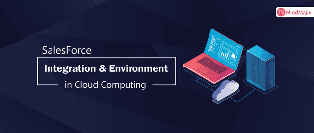 SalesForce Integration and Environment in Cloud Computing 
