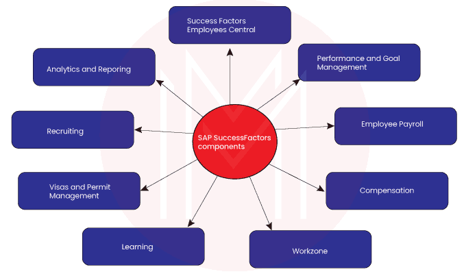 success factors components