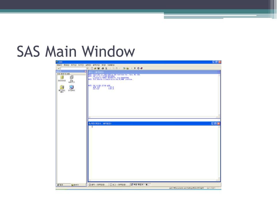 SAS Main Window