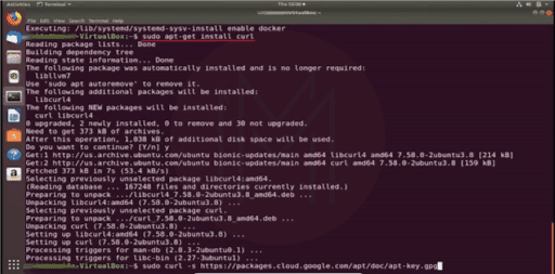 sudo apt-get install curl