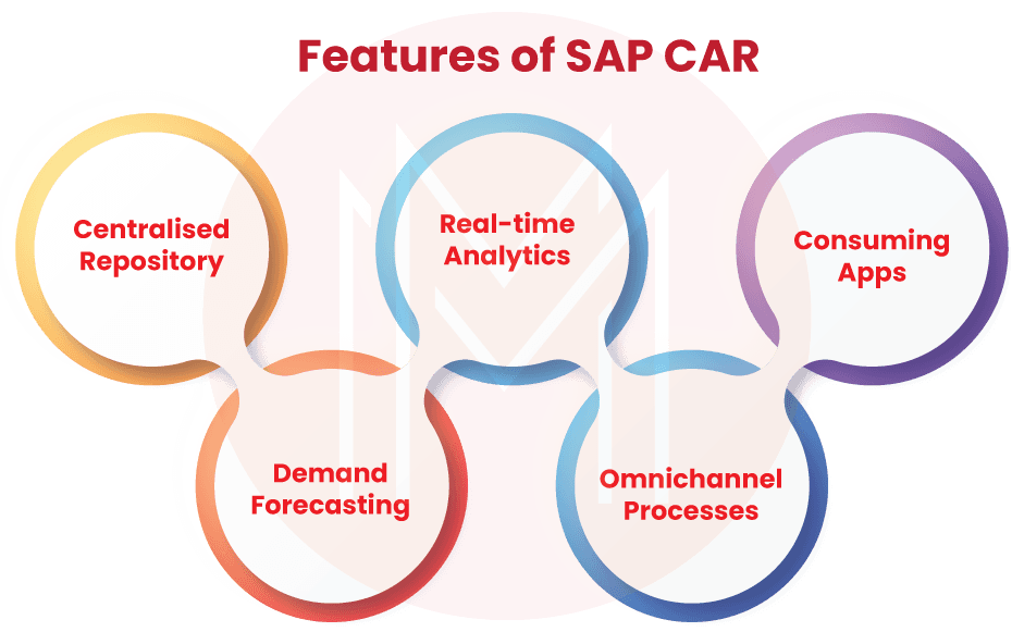 Features of SAP CAR