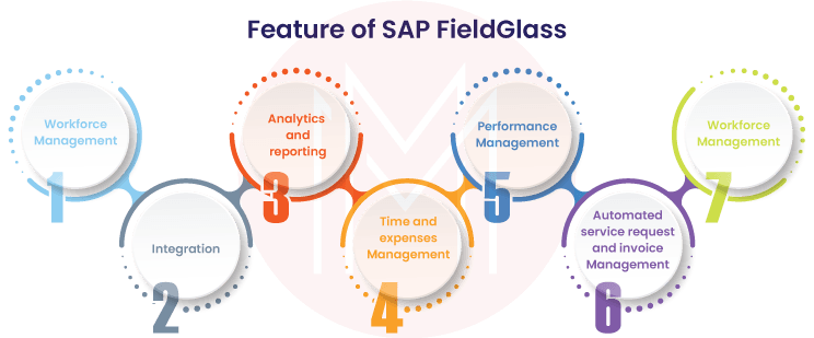 Features of SAP Fieldglass