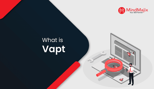 What is VAPT?  -  A Complete Beginners Tutorial