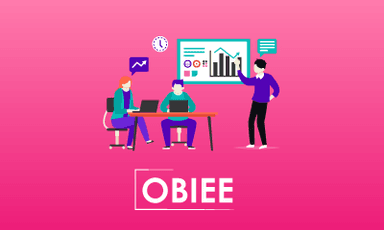 OBIEE Training || "Reco slider img"