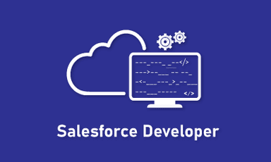 Salesforce Developer Training || "Reco slider img"