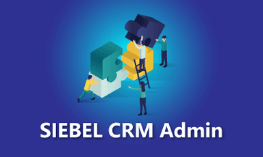 SIEBEL CRM Admin Training || "Reco slider img"